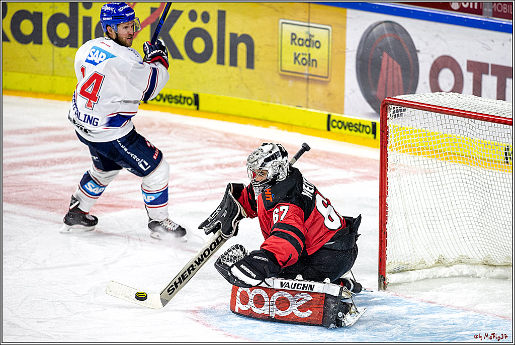 DEL; Koelner Haie - Adler Mannheim, 05.04.2019